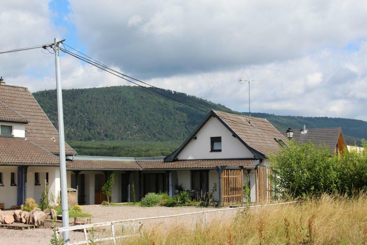 Le Clos Du Haslach Villa Niederhaslach Екстериор снимка